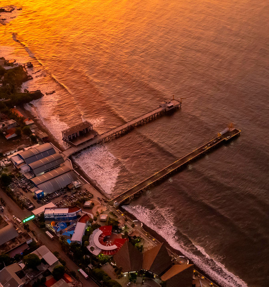 muelle